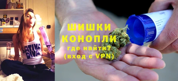 гидра Надым