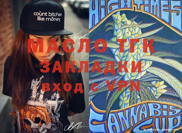 гидра Надым