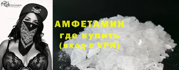 гидра Надым