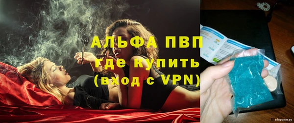 гидра Надым
