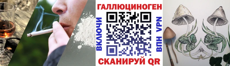 blacksprut зеркало  Тара  Галлюциногенные грибы мицелий 