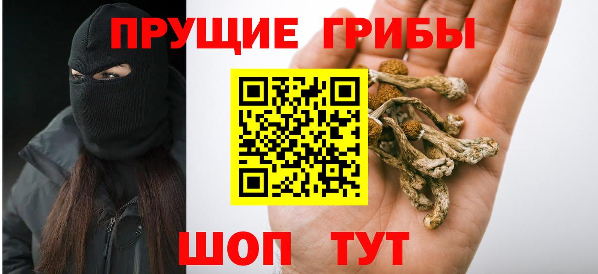 Галлюциногенные грибы MAGIC MUSHROOMS Тара